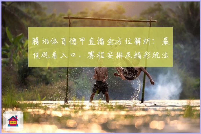 腾讯体育德甲直播全方位解析：最佳观看入口、赛程安排及精彩玩法汇总